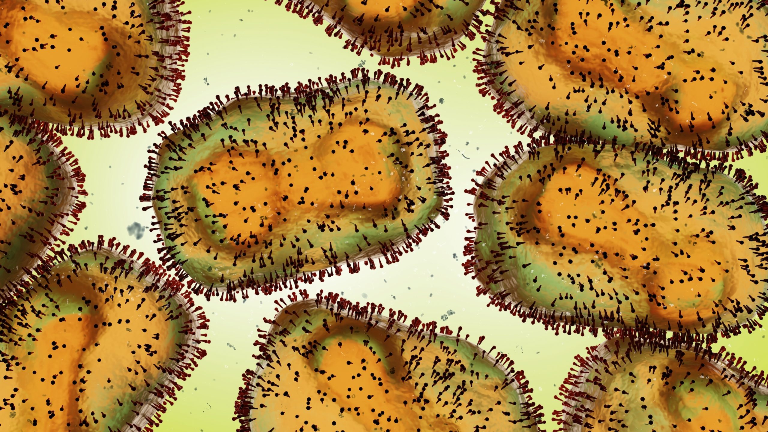 Monkeypoxvirus